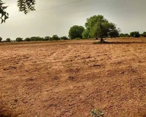 600 Yards Plot On Palwal- Aligarh Highway at Best Price property image 3 in Tappal