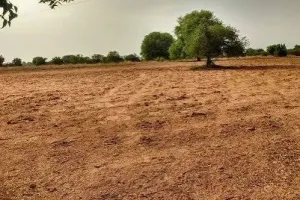 600 Yards Plot On Palwal- Aligarh Highway at Best Price property image 3 in Tappal thumbnail