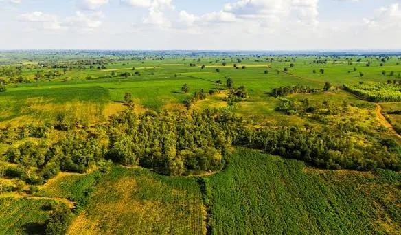 4.50 Bigha in Utrwara Tappal - Agriculture Land property image 3 in Tappal
