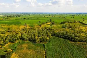 4.50 Bigha in Utrwara Tappal - Agriculture Land property image 3 in Tappal thumbnail
